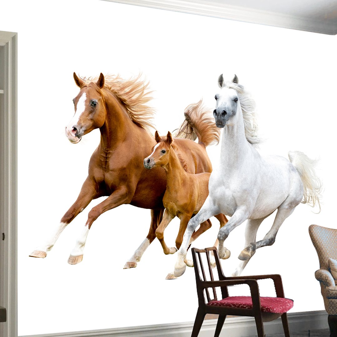 Horse Wallpaper DDS318 2