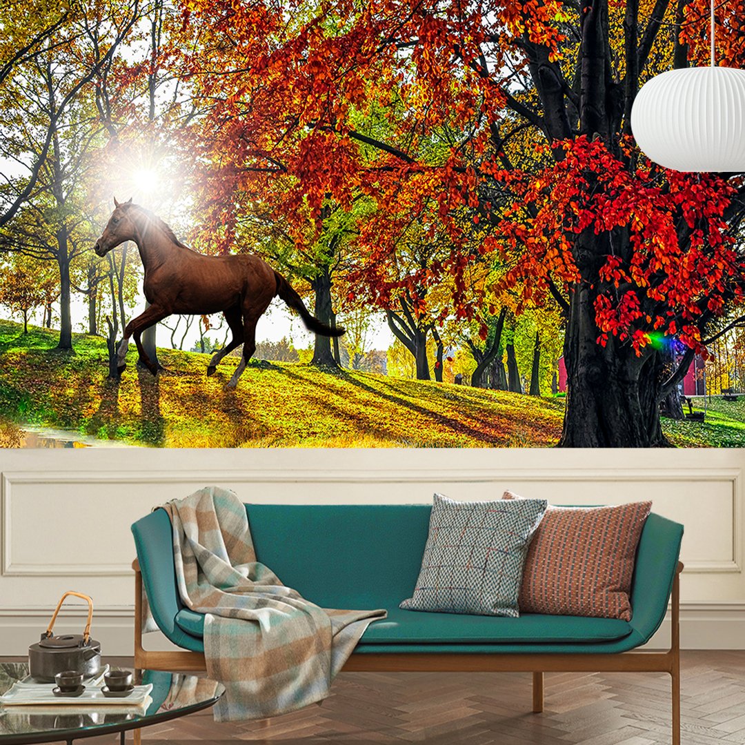 Customised 3D Horse Wallpaper DDS379 2